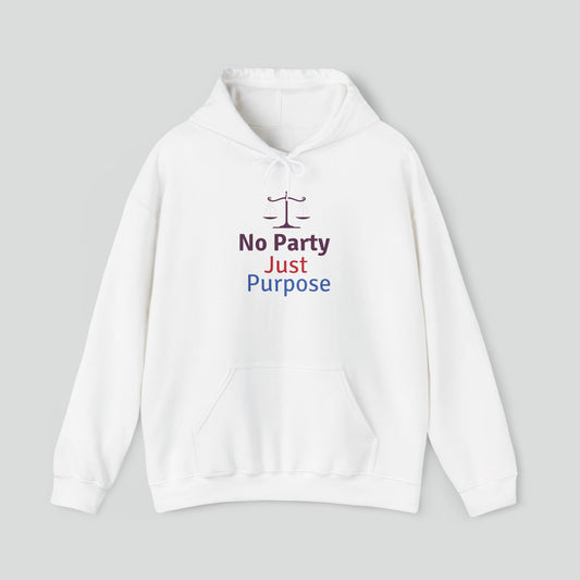 Hoodie (Bipartisan slogan 1)